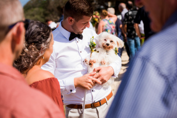 Tom-taylor-feature-wedding-photography - Matt Jorgensen Photography